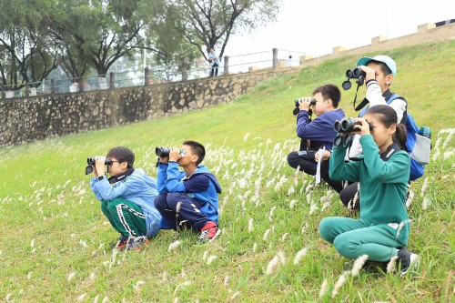 已编辑图片