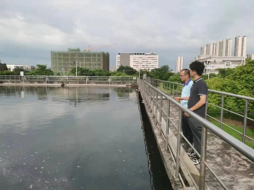 已编辑图片