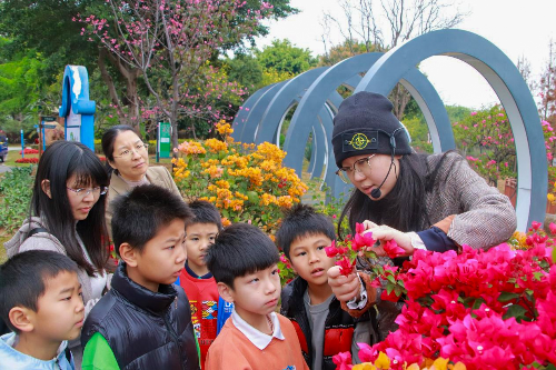 2025年3月2日银山湿地：植物探秘之旅 (1).jpg