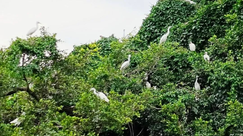 已编辑图片