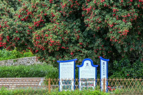 640.jpg