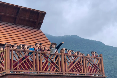已编辑图片